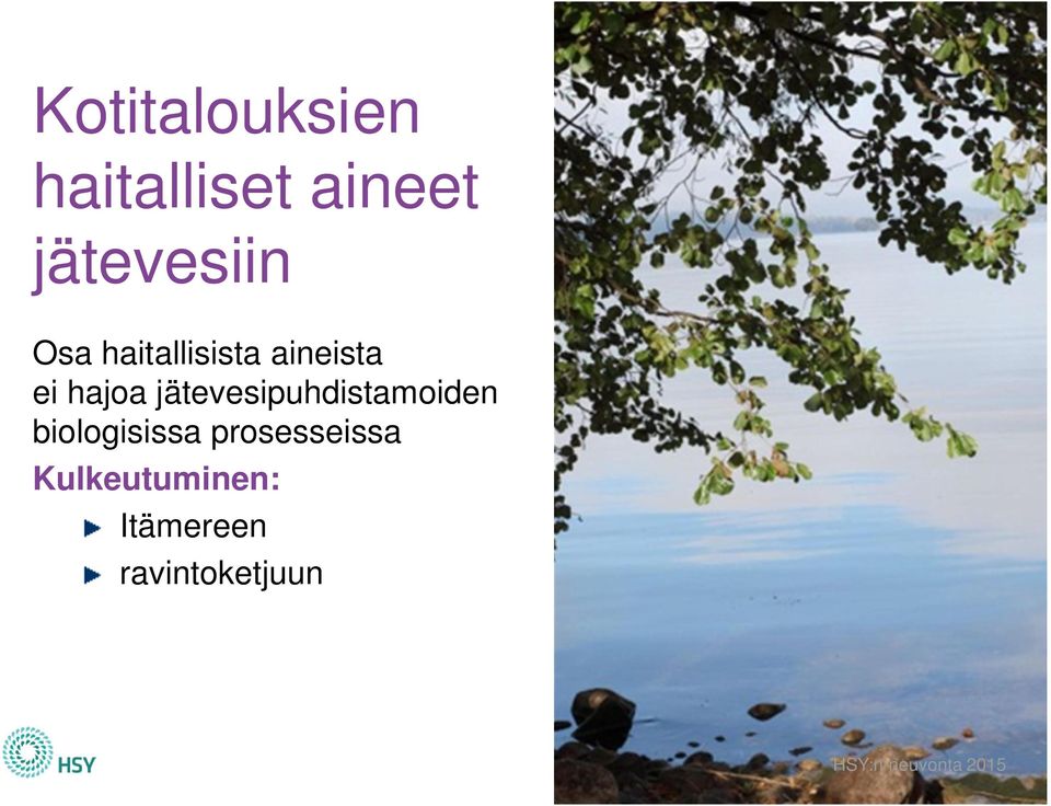 hajoa jätevesipuhdistamoiden biologisissa
