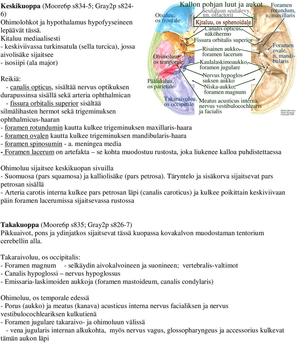 arteria ophthalmican - fissura orbitalis sisältää silmälihasten hermot sekä trigeminuksen ophthalmicus-haaran Otsaluu, os frontale Ohimoluu, os temporale Päälakiluu, os parietale Kallon pohjan luut