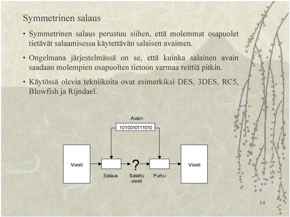 Ongelmana järjestelmässä on se, että kuinka salainen avain saadaan molempien osapuolten tietoon