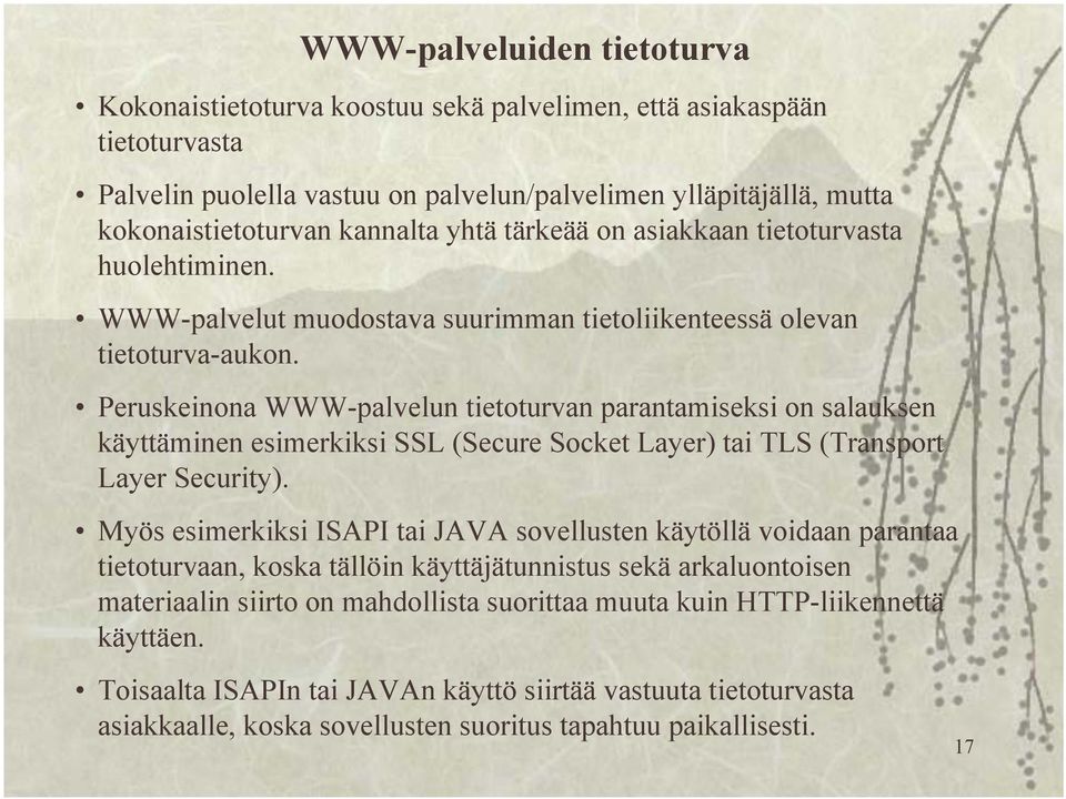 Peruskeinona WWW-palvelun tietoturvan parantamiseksi on salauksen käyttäminen esimerkiksi SSL (Secure Socket Layer) tai TLS (Transport Layer Security).