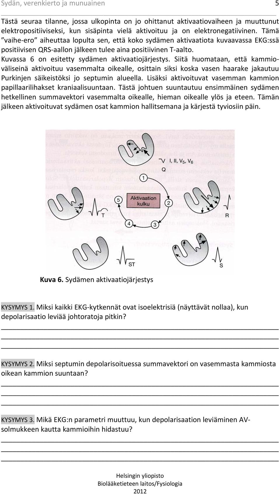 Kuvassa 6 on esitetty sydämen aktivaatiojärjestys.