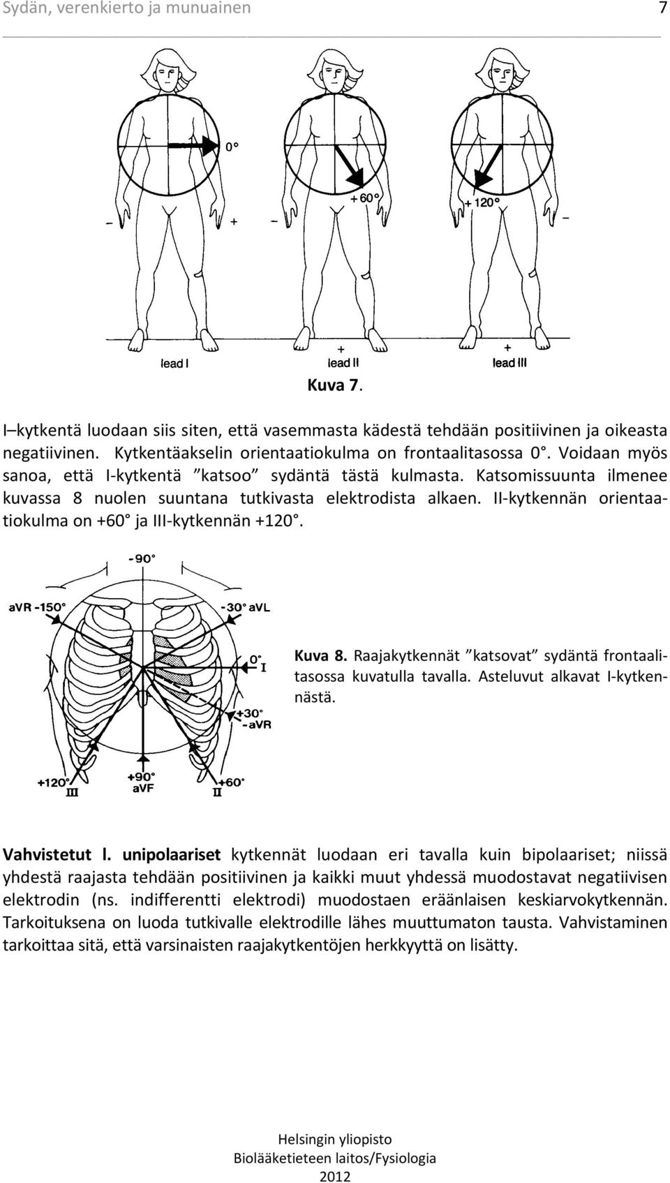 II kytkennän orientaatiokulma on 60 ja III kytkennän 120. Kuva 8. Raajakytkennät katsovat sydäntä frontaalitasossa kuvatulla tavalla. Asteluvut alkavat I kytkennästä. Vahvistetut l.