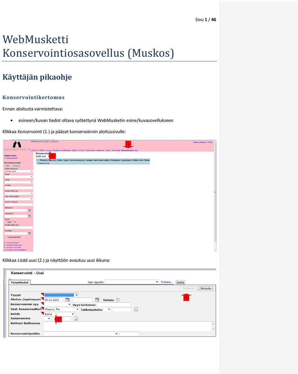 syötettynä WebMusketin esine/kuvasovellukseen Klikkaa Konservointi (1.