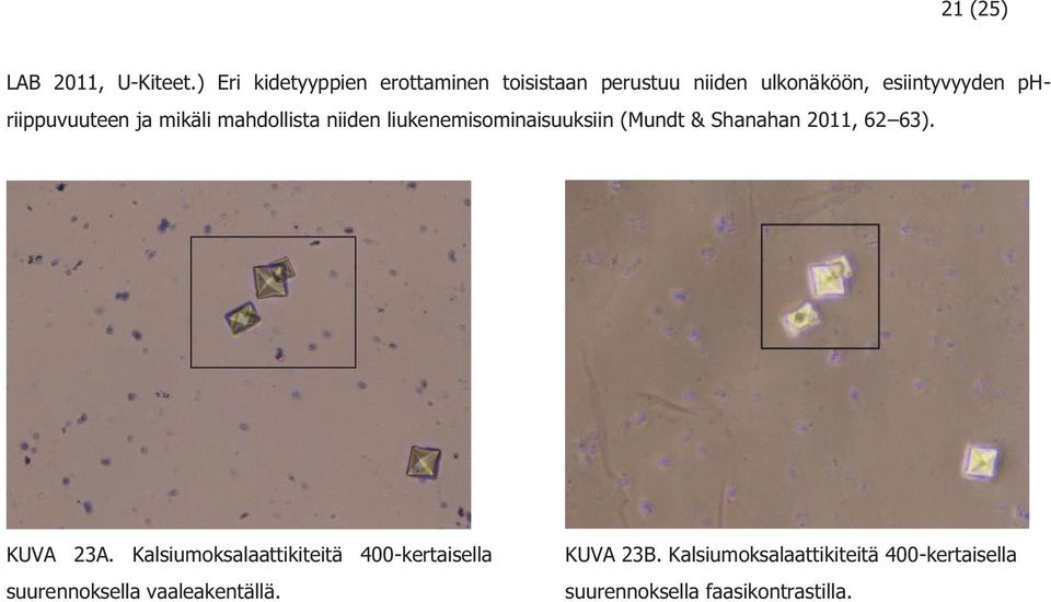 phriippuvuuteen ja mikäli mahdollista niiden liukenemisominaisuuksiin (Mundt &