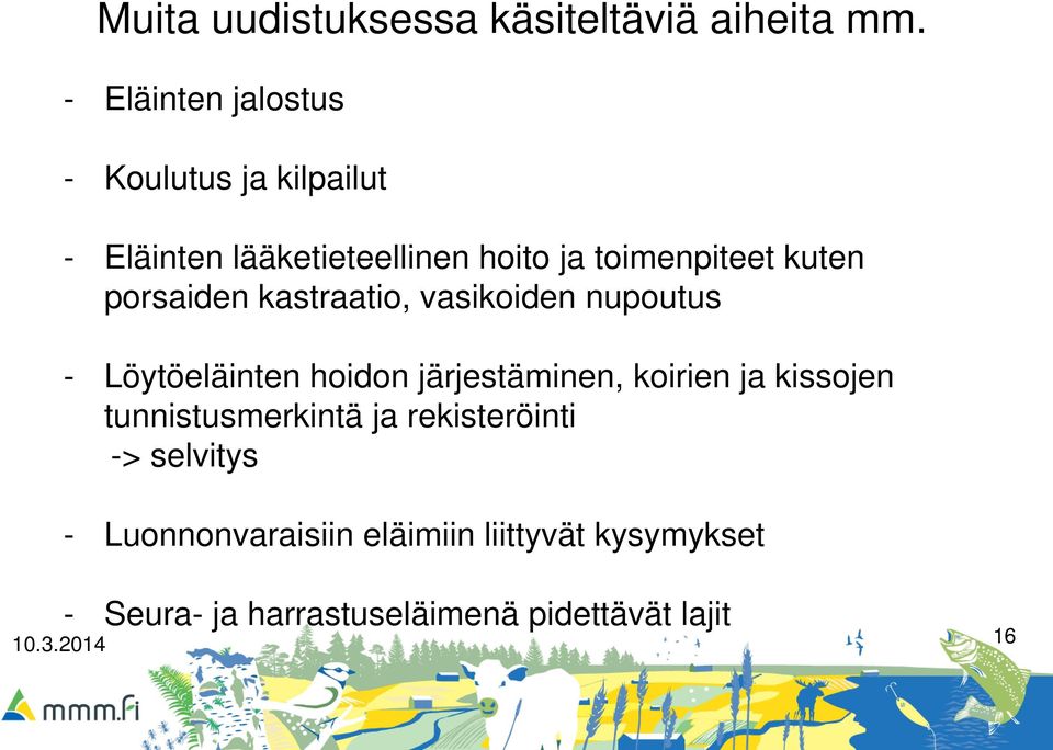 kuten porsaiden kastraatio, vasikoiden nupoutus - Löytöeläinten hoidon järjestäminen, koirien ja