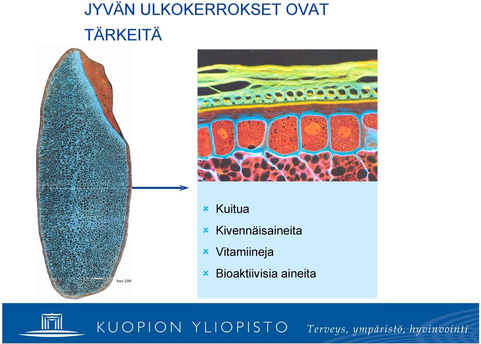 Kivennäisaineita û