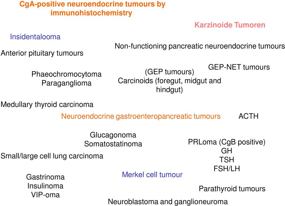 Medullary thyroid carcinoma Neuroendocrine gastroenteropancreatic tumours ACTH Small/large cell lung carcinoma Gastrinoma Insulinoma