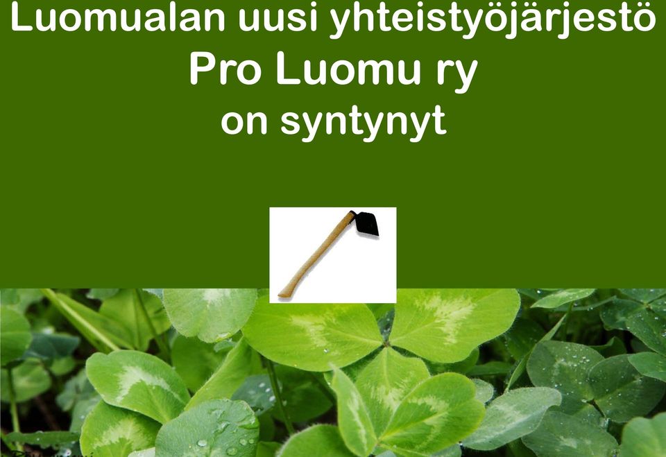 Luomu ry on syntynyt