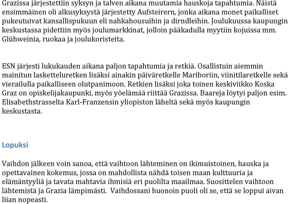 Joulukuussa kaupungin keskustassa pidettiin myös joulumarkkinat, jolloin pääkadulla myytiin kojuissa mm. Glühweinia, ruokaa ja joulukoristeita.