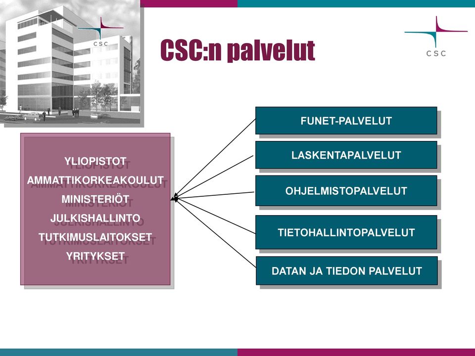 TUTKIMUSLAITOKSET YRITYKSET LASKENTAPALVELUT