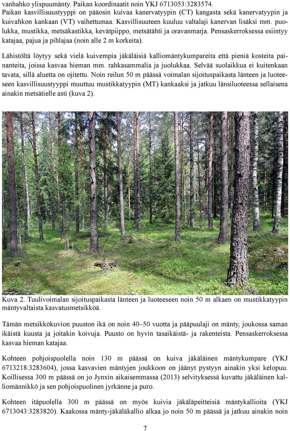 Pensaskerroksessa esiintyy katajaa, pajua ja pihlajaa (noin alle 2 m korkeita).