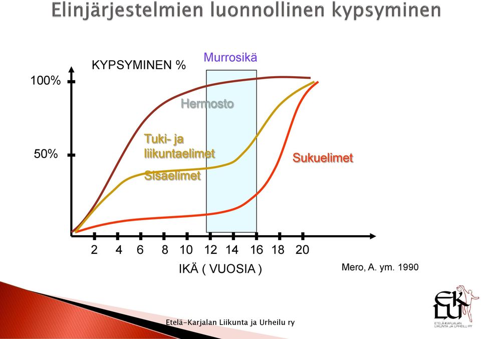 Sisäelimet Sukuelimet 2 4 6 8 10 12