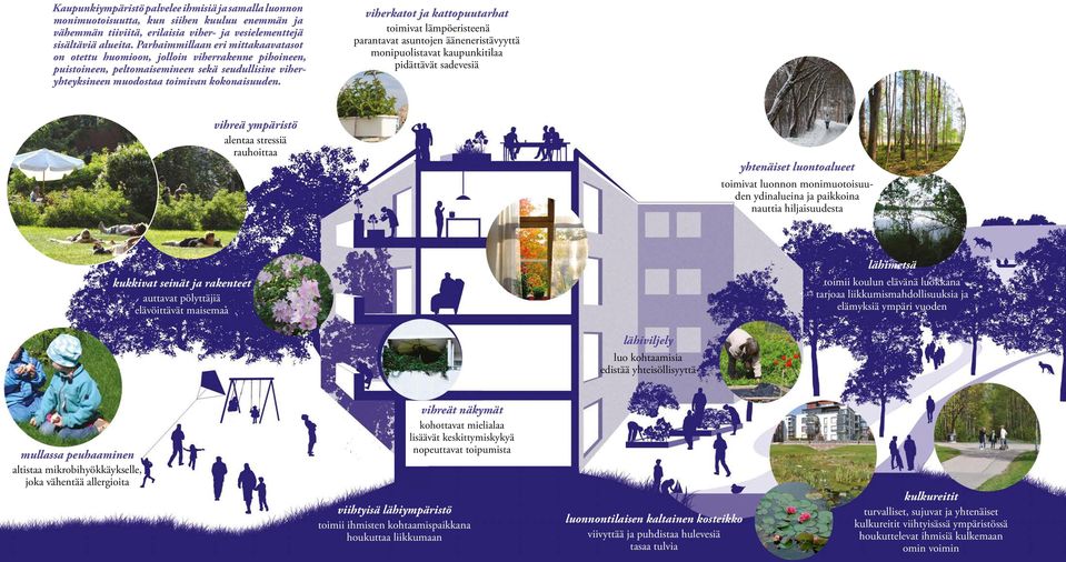 viherkatot ja kattopuutarhat toimivat lämpöeristeenä parantavat asuntojen ääneneristävyyttä monipuolistavat kaupunkitilaa pidättävät sadevesiä vihreä ympäristö alentaa stressiä rauhoittaa yhtenäiset