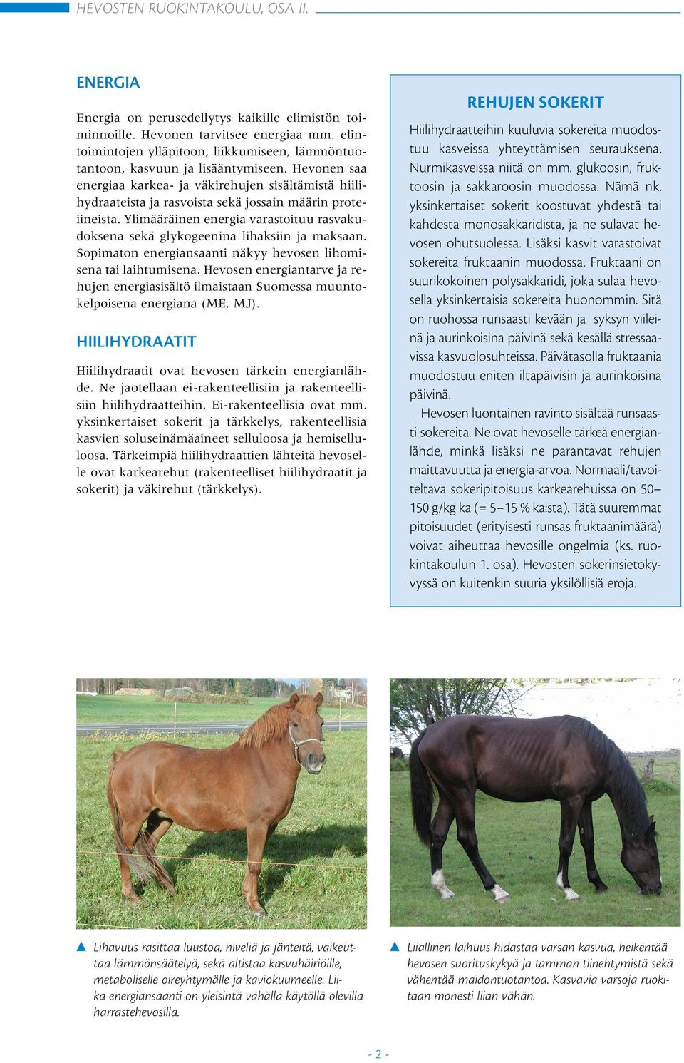 Hevonen saa energiaa karkea- ja väkirehujen sisältämistä hiilihydraateista ja rasvoista sekä jossain määrin proteiineista.