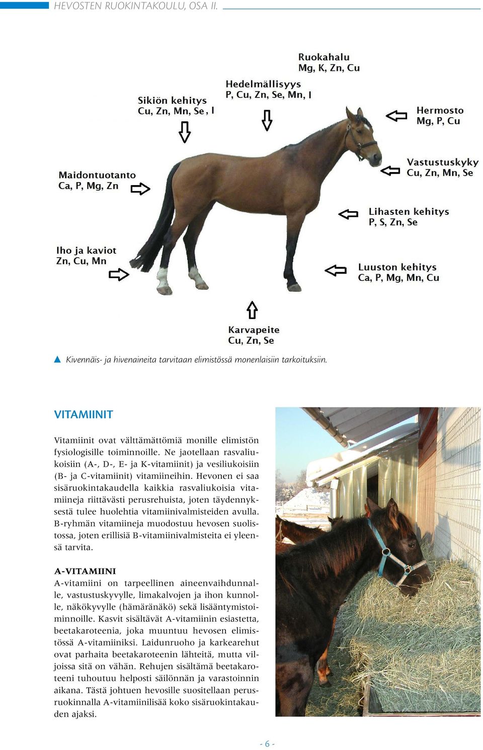 Hevonen ei saa sisäruokintakaudella kaikkia rasvaliukoisia vitamiineja riittävästi perusrehuista, joten täydennyksestä tulee huolehtia vitamiinivalmisteiden avulla.