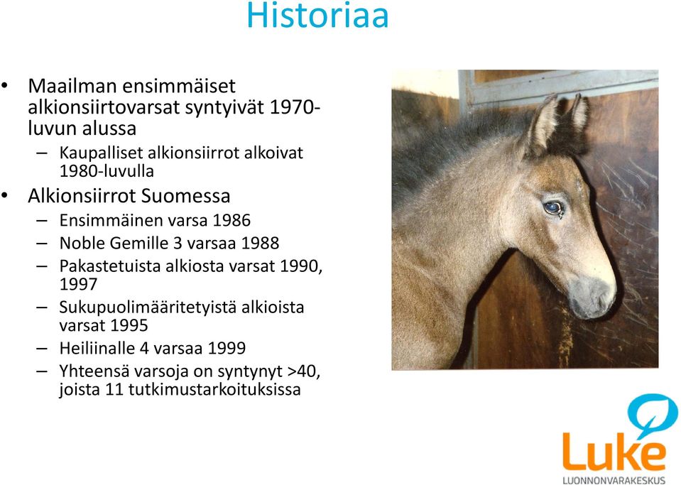 Gemille 3 varsaa 1988 Pakastetuista alkiosta varsat 1990, 1997 Sukupuolimääritetyistä