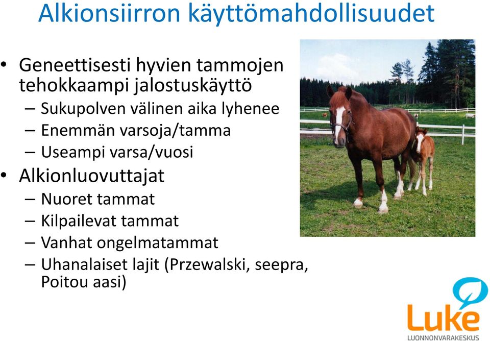 varsoja/tamma Useampi varsa/vuosi Alkionluovuttajat Nuoret tammat