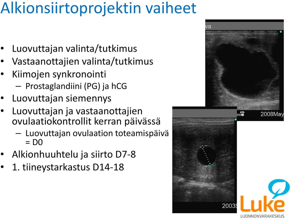 siemennys Luovuttajan ja vastaanottajien ovulaatiokontrollit kerran päivässä