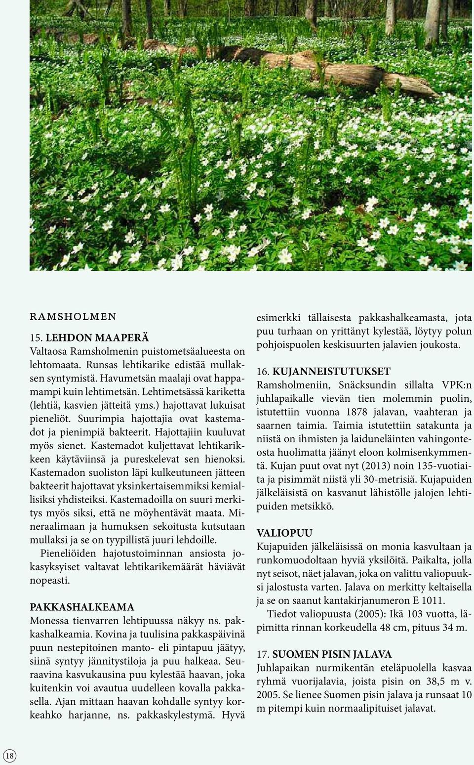 Kastemadot kuljettavat lehtikarikkeen käytäviinsä ja pureskelevat sen hienoksi. Kastemadon suoliston läpi kulkeutuneen jätteen bakteerit hajottavat yksinkertaisemmiksi kemiallisiksi yhdisteiksi.