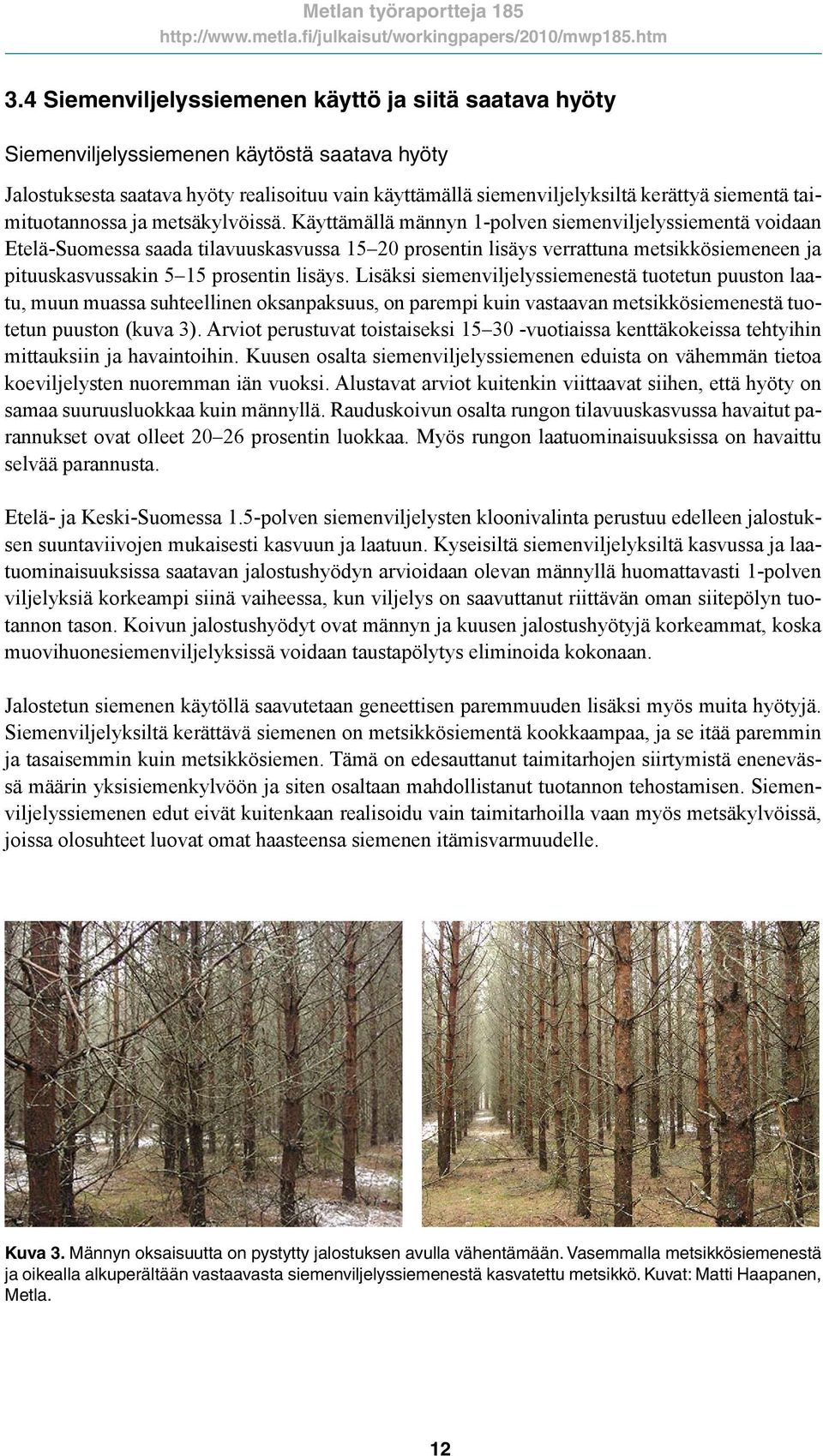 Käyttämällä männyn 1-polven siemenviljelyssiementä voidaan Etelä-Suomessa saada tilavuuskasvussa 15 20 prosentin lisäys verrattuna metsikkösiemeneen ja pituuskasvussakin 5 15 prosentin lisäys.