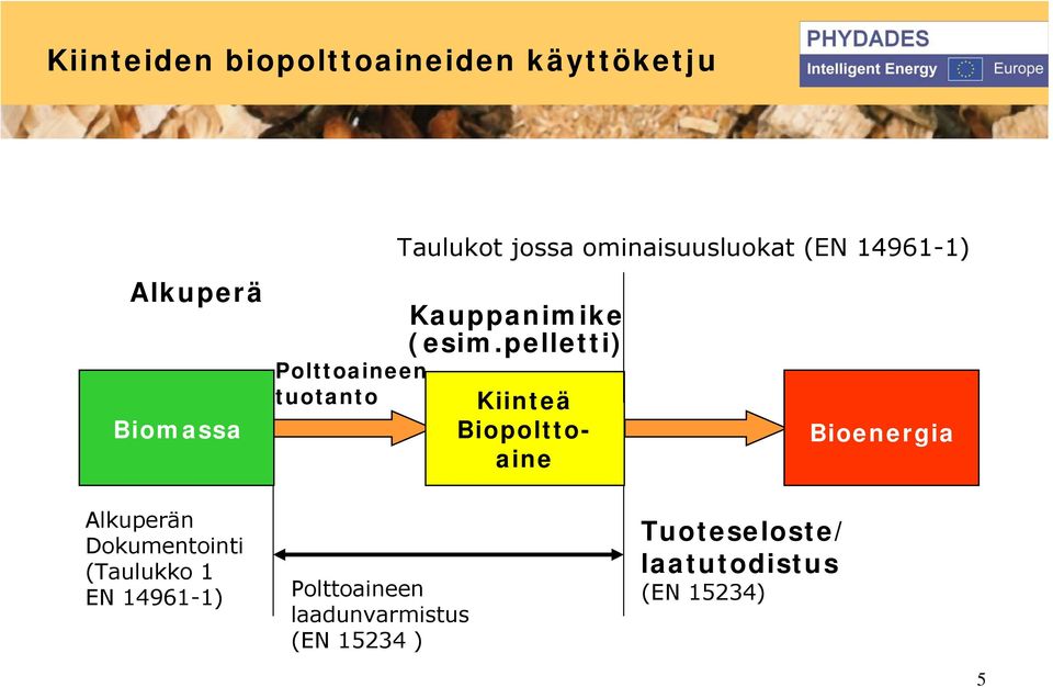 pelletti) Kiinteä Biopolttoaine Bioenergia Alkuperän Dokumentointi (Taulukko 1