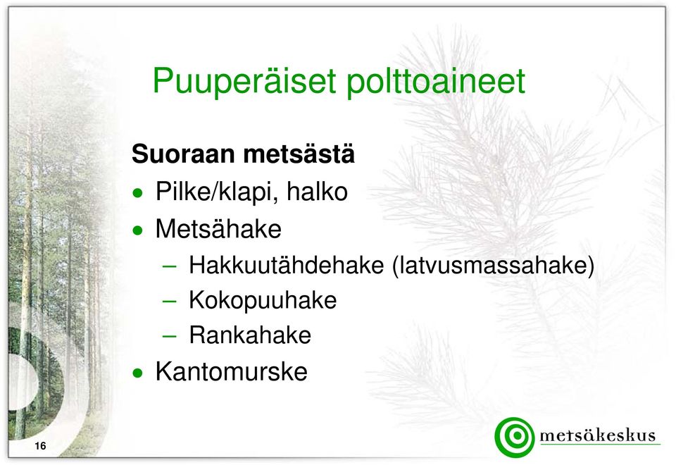 Metsähake Hakkuutähdehake