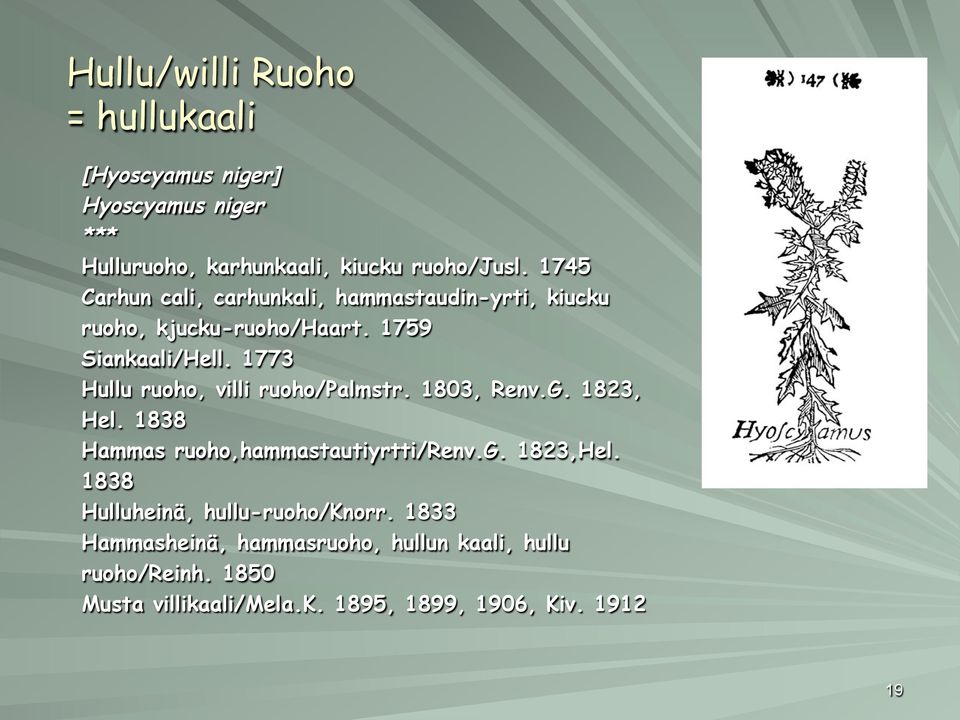 1773 Hullu ruoho, villi ruoho/palmstr. 1803, Renv.G. 1823, Hel. 1838 Hammas ruoho,hammastautiyrtti/renv.g. 1823,Hel.