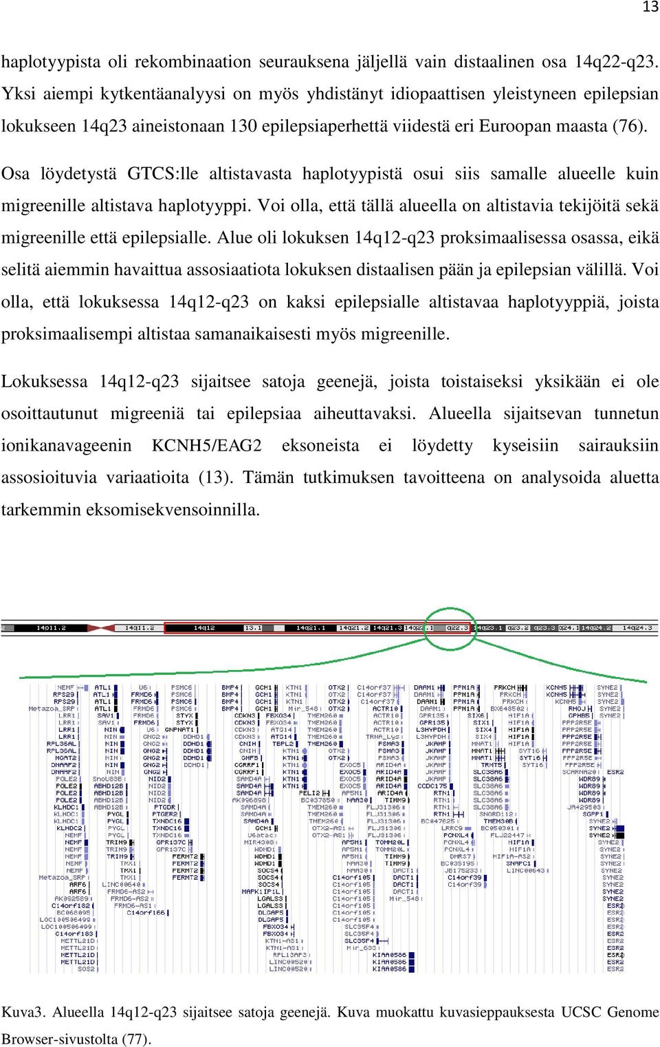 Osa löydetystä GTCS:lle altistavasta haplotyypistä osui siis samalle alueelle kuin migreenille altistava haplotyyppi.