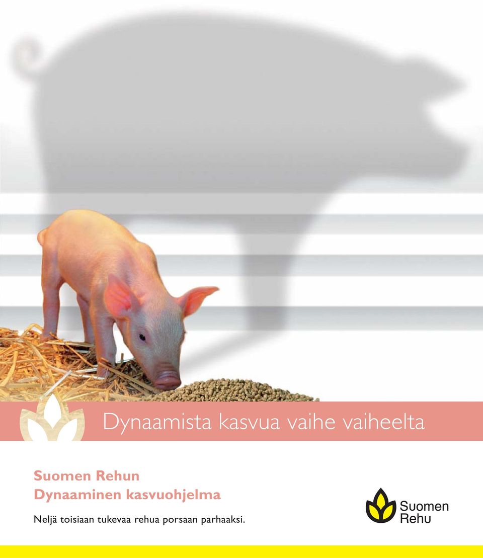 Dynaaminen kasvuohjelma Neljä