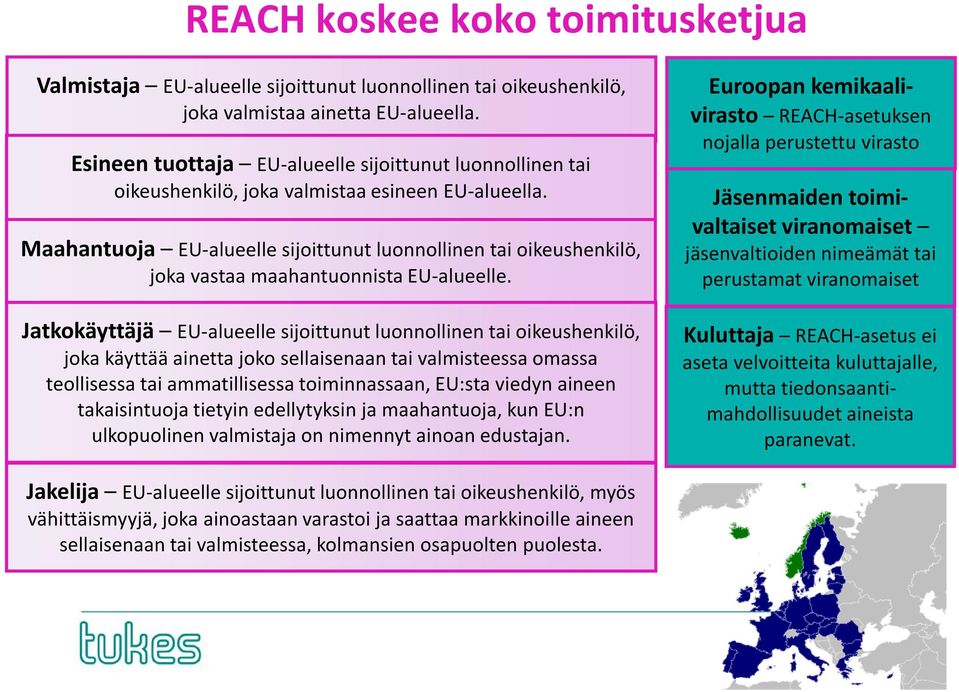 Maahantuoja EU-alueelle sijoittunut luonnollinen tai oikeushenkilö, joka vastaa maahantuonnista EU-alueelle.