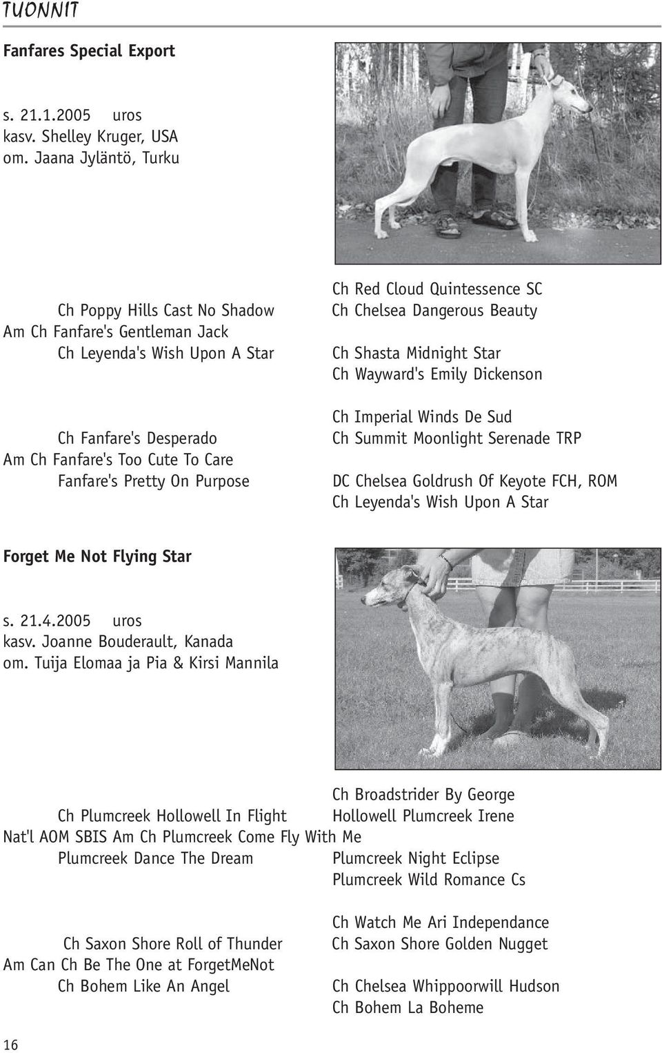 Red Cloud Quintessence SC Ch Chelsea Dangerous Beauty Ch Shasta Midnight Star Ch Wayward's Emily Dickenson Ch Imperial Winds De Sud Ch Summit Moonlight Serenade TRP DC Chelsea Goldrush Of Keyote FCH,