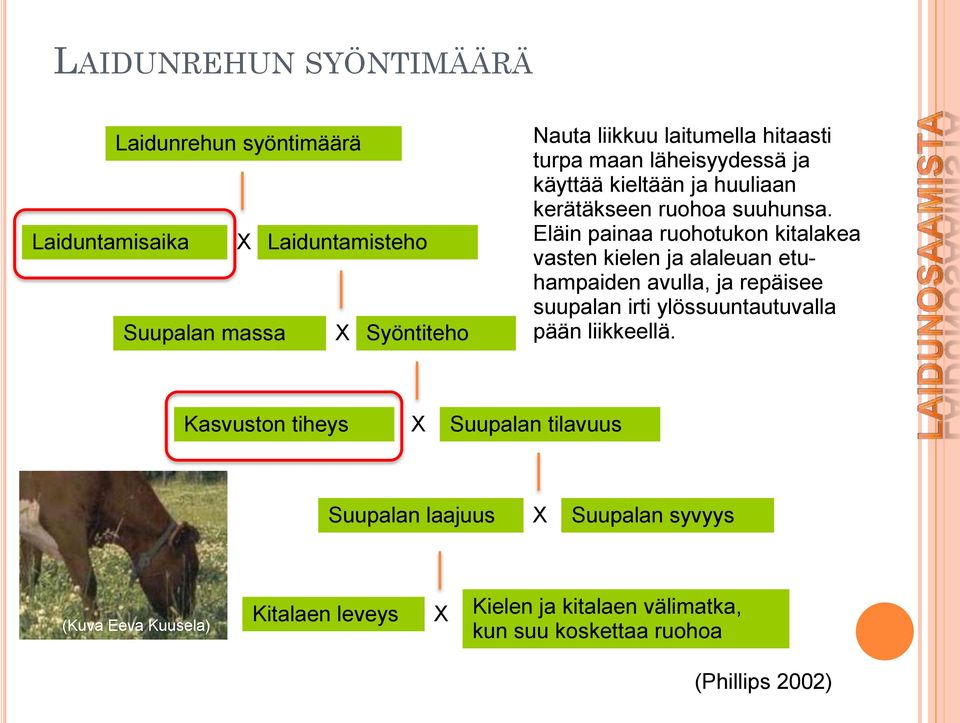 Eläin painaa ruohotukon kitalakea vasten kielen ja alaleuan etuhampaiden avulla, ja repäisee suupalan irti ylössuuntautuvalla pään