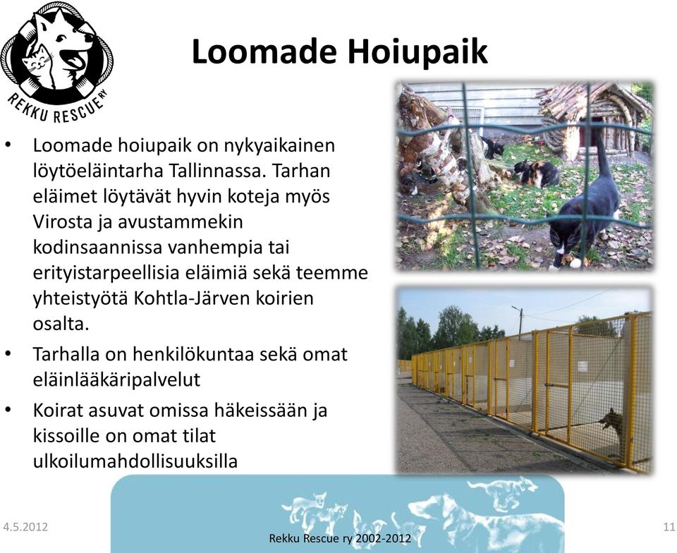erityistarpeellisia eläimiä sekä teemme yhteistyötä Kohtla-Järven koirien osalta.