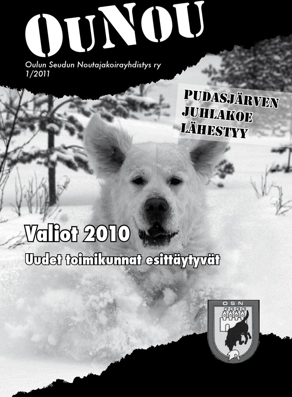 Pudasjärven juhlakoe lähestyy