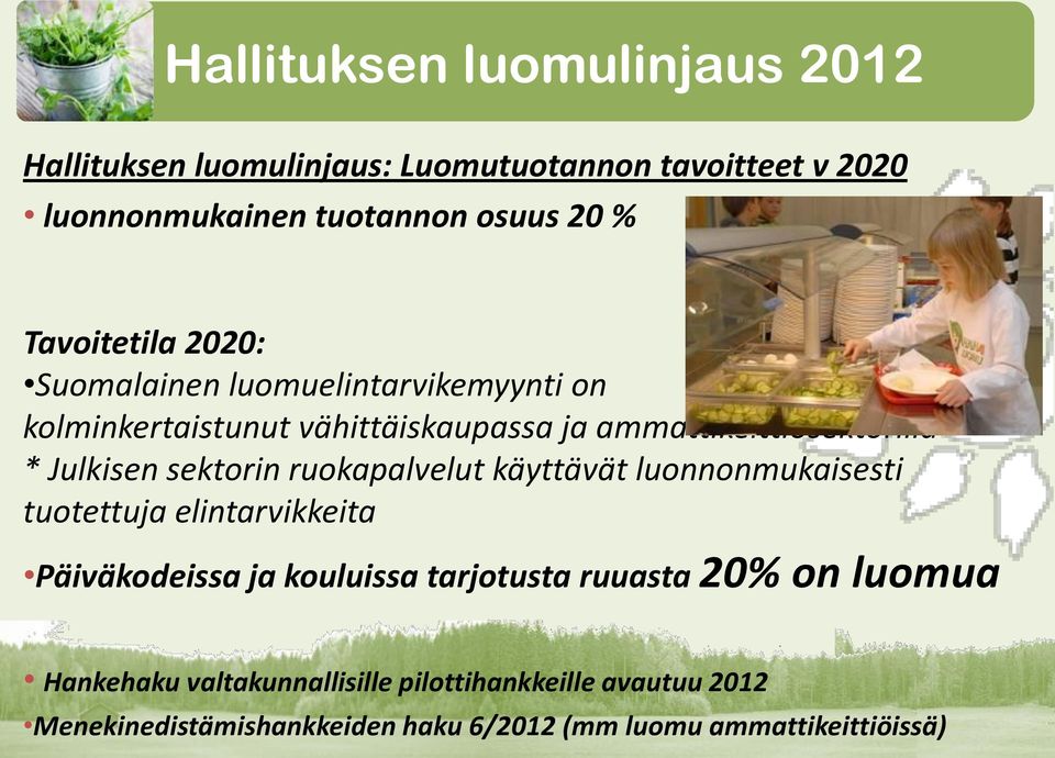Julkisen sektorin ruokapalvelut käyttävät luonnonmukaisesti tuotettuja elintarvikkeita Päiväkodeissa ja kouluissa tarjotusta