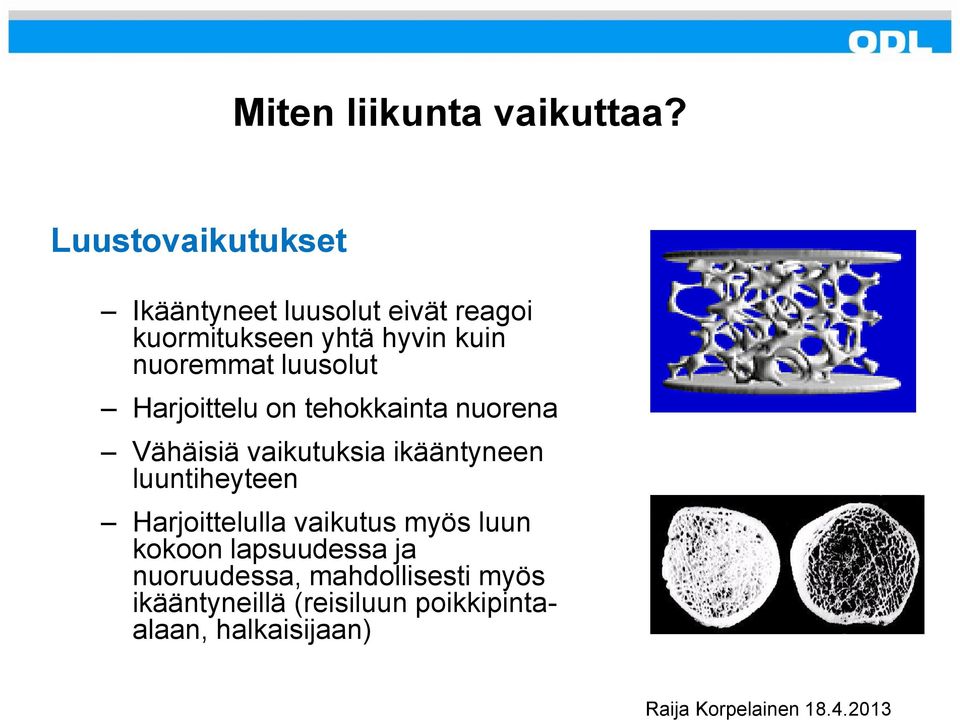 luusolut Harjoittelu on tehokkainta nuorena Vähäisiä vaikutuksia ikääntyneen luuntiheyteen