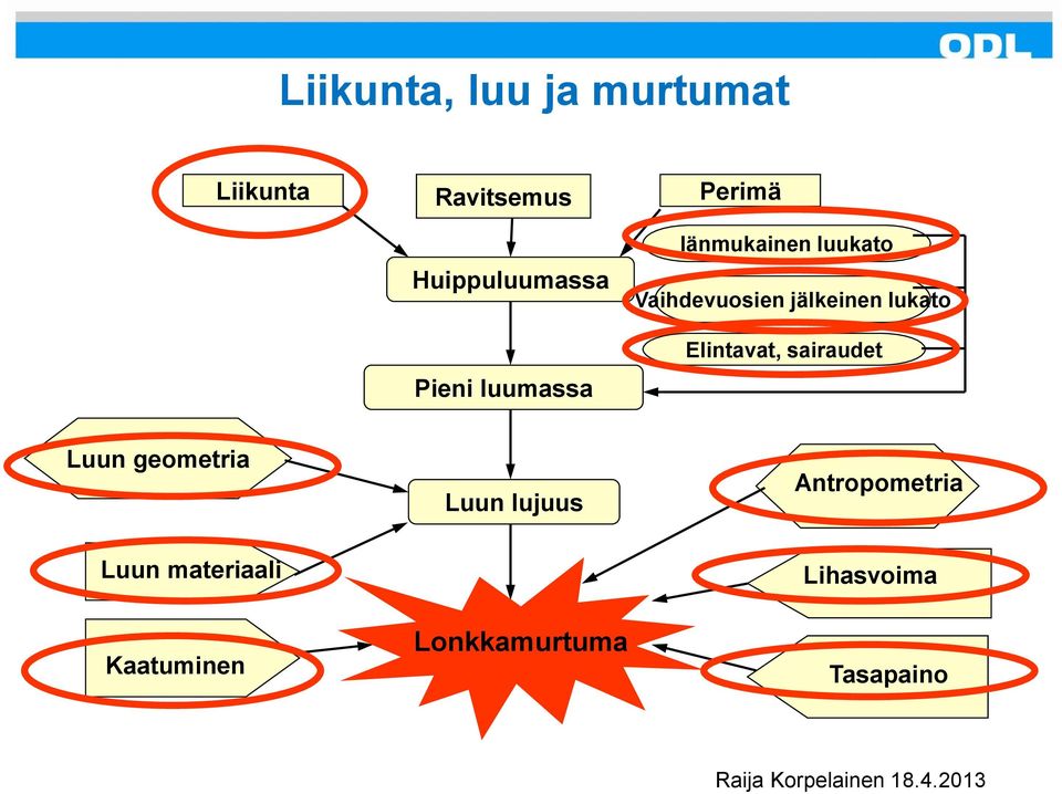Elintavat, sairaudet Luun geometria Luun lujuus Antropometria Luun