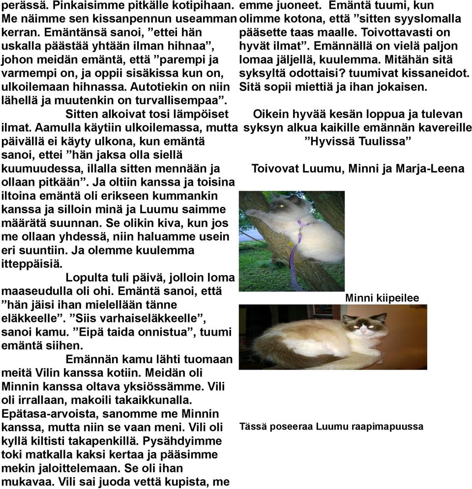 Emännällä on vielä paljon johon meidän emäntä, että parempi ja lomaa jäljellä, kuulemma. Mitähän sitä varmempi on, ja oppii sisäkissa kun on, syksyltä odottaisi? tuumivat kissaneidot.
