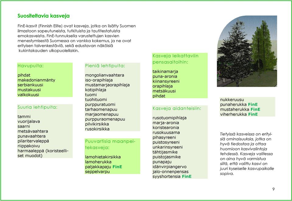 Havupuita: pihdat makedonianmänty serbiankuusi mustakuusi valkokuusi Suuria lehtipuita: tammi vuorijalava saarni metsävaahtera punavaahtera pilaritervaleppä riippakoivu harmaaleppä (koristeelliset