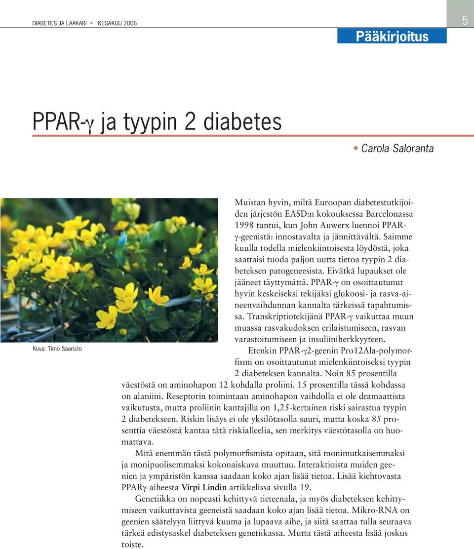 Saimme kuulla todella mielenkiintoisesta löydöstä, joka saattaisi tuoda paljon uutta tietoa tyypin 2 diabeteksen patogeneesista. Eivätkä lupaukset ole jääneet täyttymättä.
