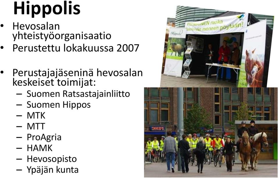 hevosalan keskeiset toimijat: Suomen