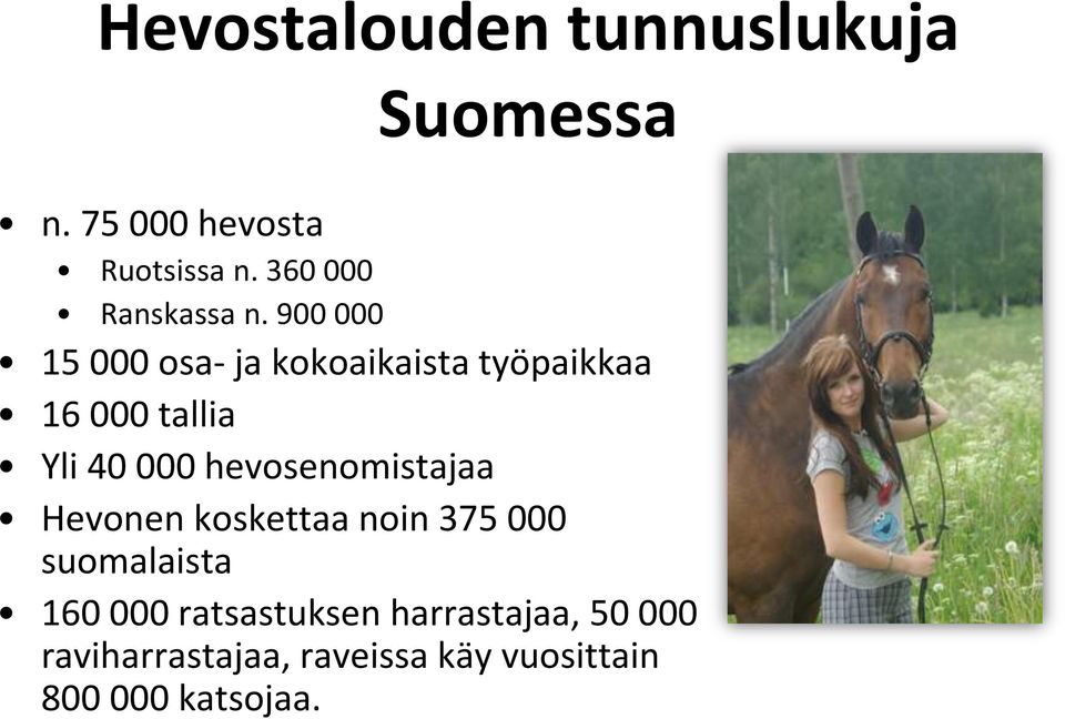 900 000 15 000 osa- ja kokoaikaista työpaikkaa 16 000 tallia Yli 40 000