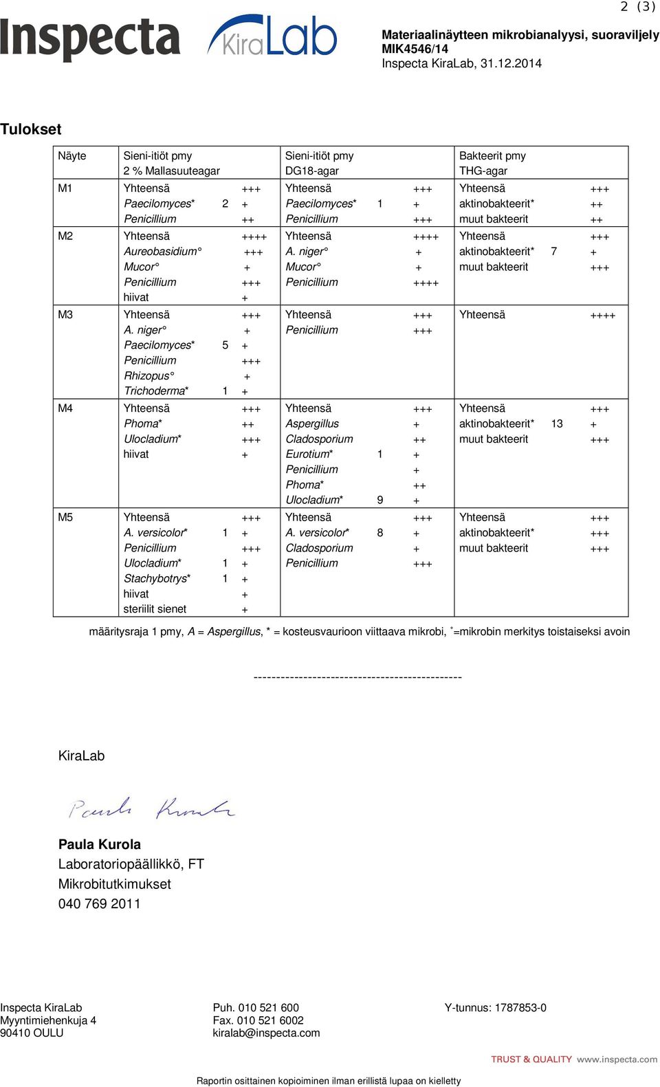 niger + Paecilomyces* 5 + Penicillium +++ Rhizopus + Trichoderma* 1 + M4 Yhteensä +++ Phoma* ++ Ulocladium* +++ hiivat + M5 Yhteensä +++ A.