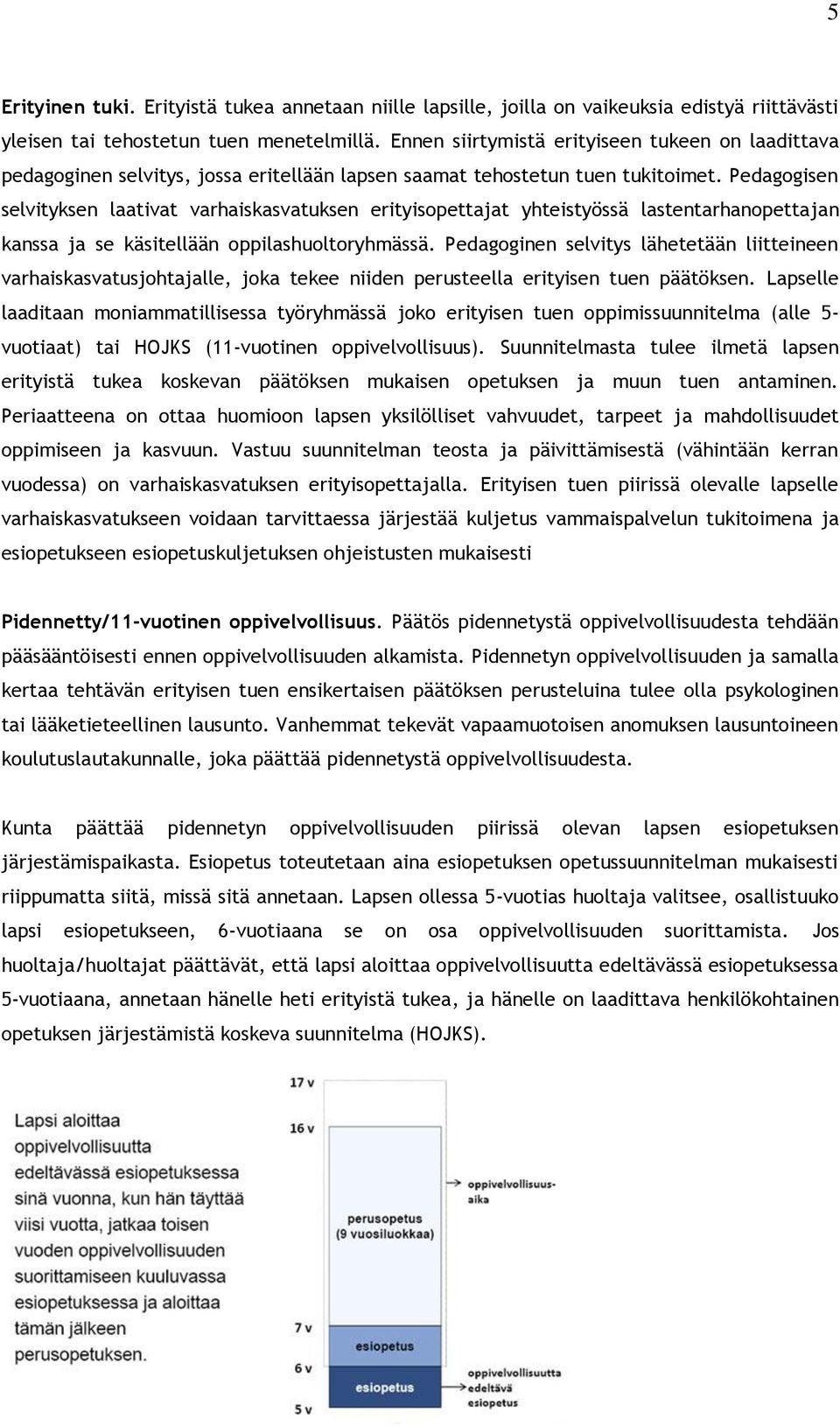 Pedagogisen selvityksen laativat varhaiskasvatuksen erityisopettajat yhteistyössä lastentarhanopettajan kanssa ja se käsitellään oppilashuoltoryhmässä.