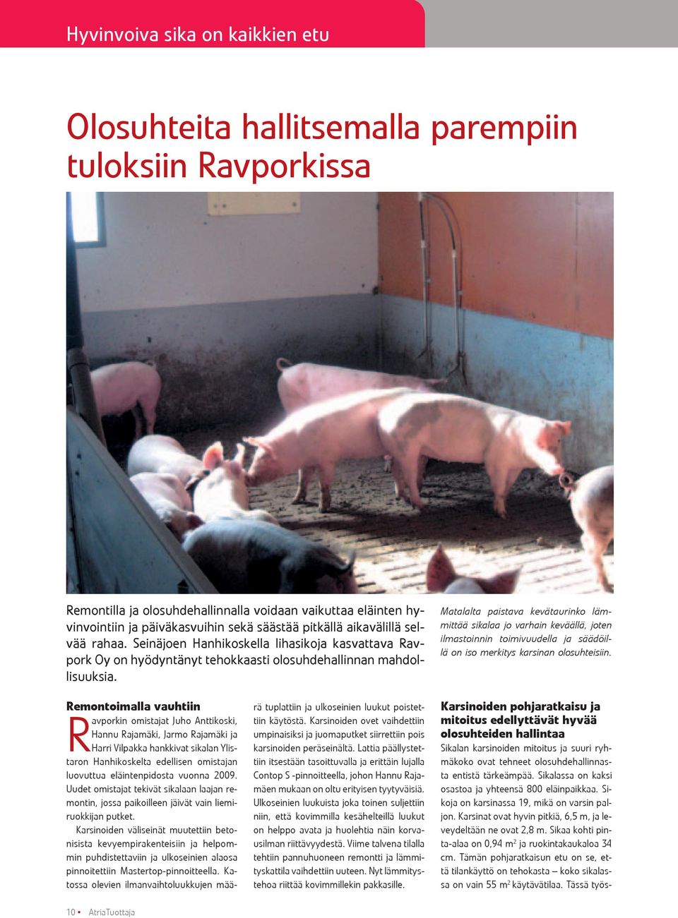 Matalalta paistava kevätaurinko lämmittää sikalaa jo varhain keväällä, joten ilmastoinnin toimivuudella ja säädöillä on iso merkitys karsinan olosuhteisiin.
