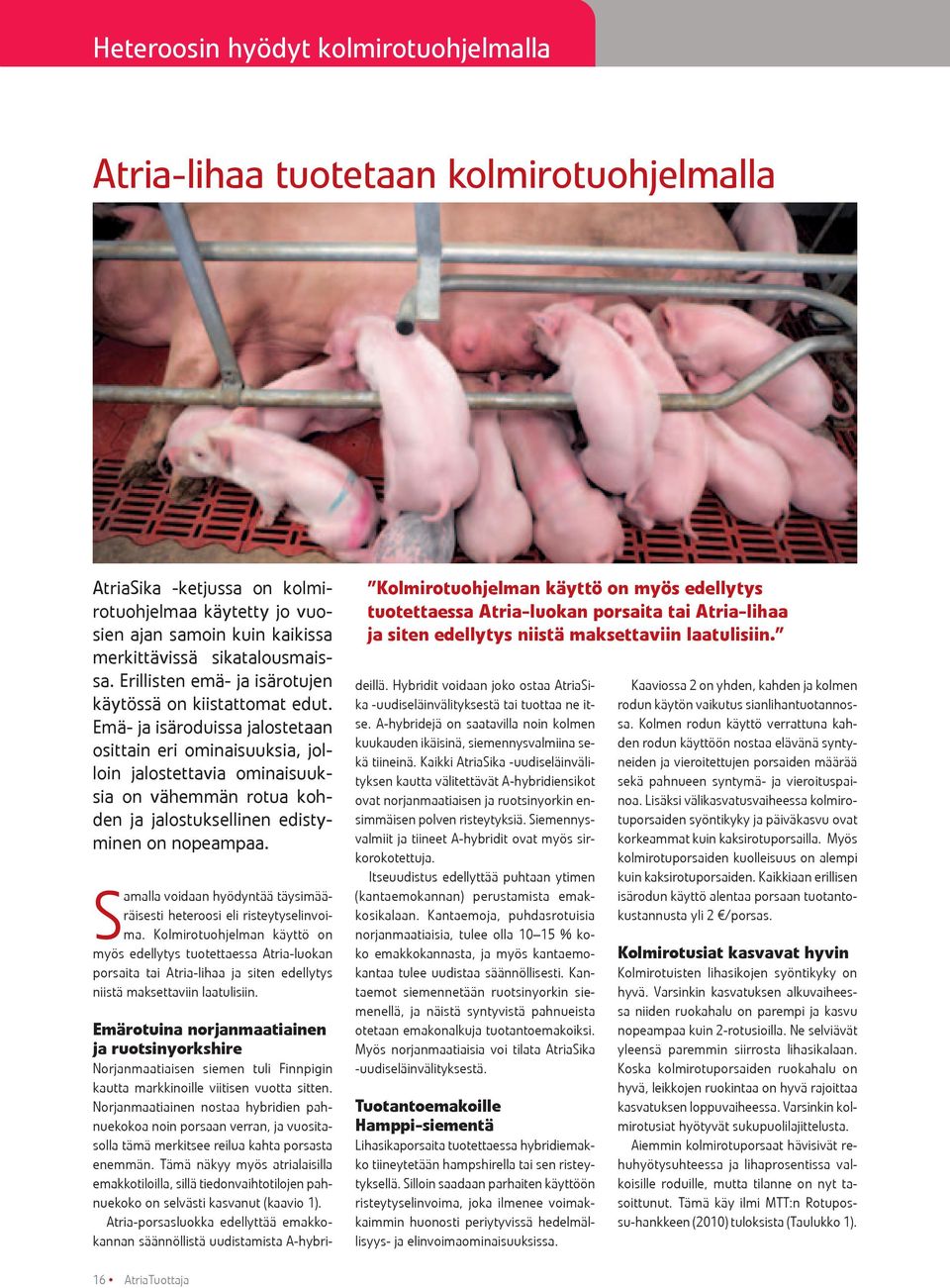Emä- ja isäroduissa jalostetaan osittain eri ominaisuuksia, jolloin jalostettavia ominaisuuksia on vähemmän rotua kohden ja jalostuksellinen edistyminen on nopeampaa.