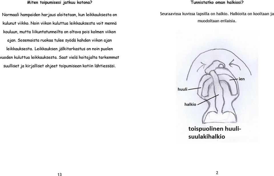 Halkioita on kooltaan ja muodoltaan erilaisia. kouluun, mutta liikuntatunneilta on oltava pois kolmen viikon ajan.