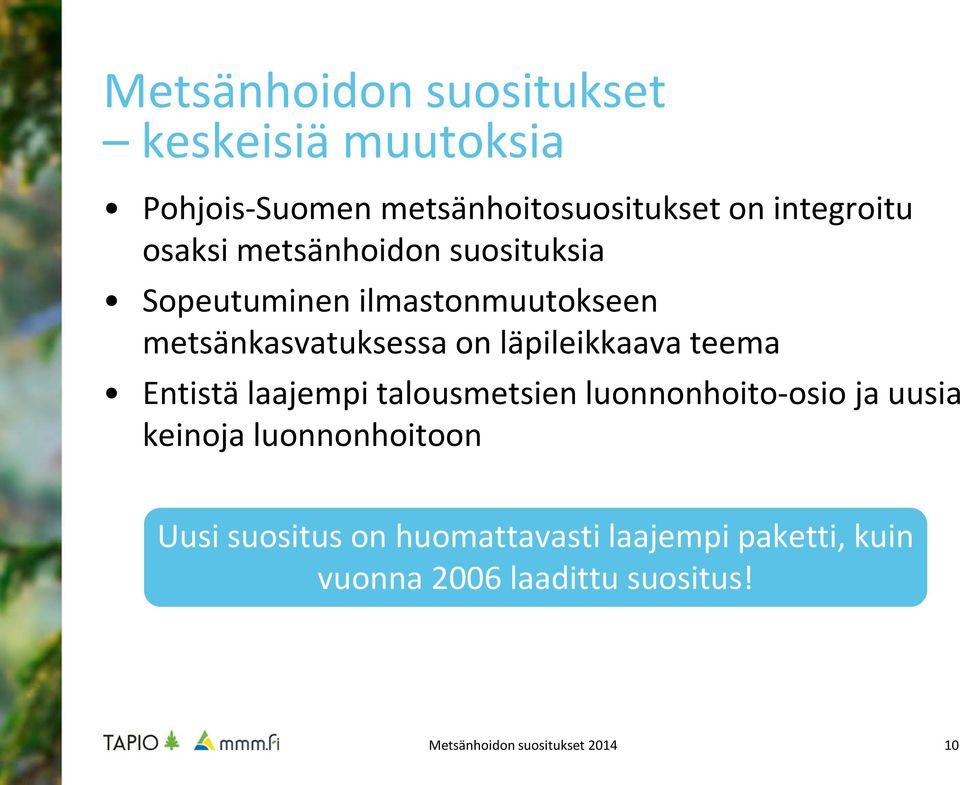 metsänkasvatuksessa on läpileikkaava teema Entistä laajempi talousmetsien luonnonhoito-osio