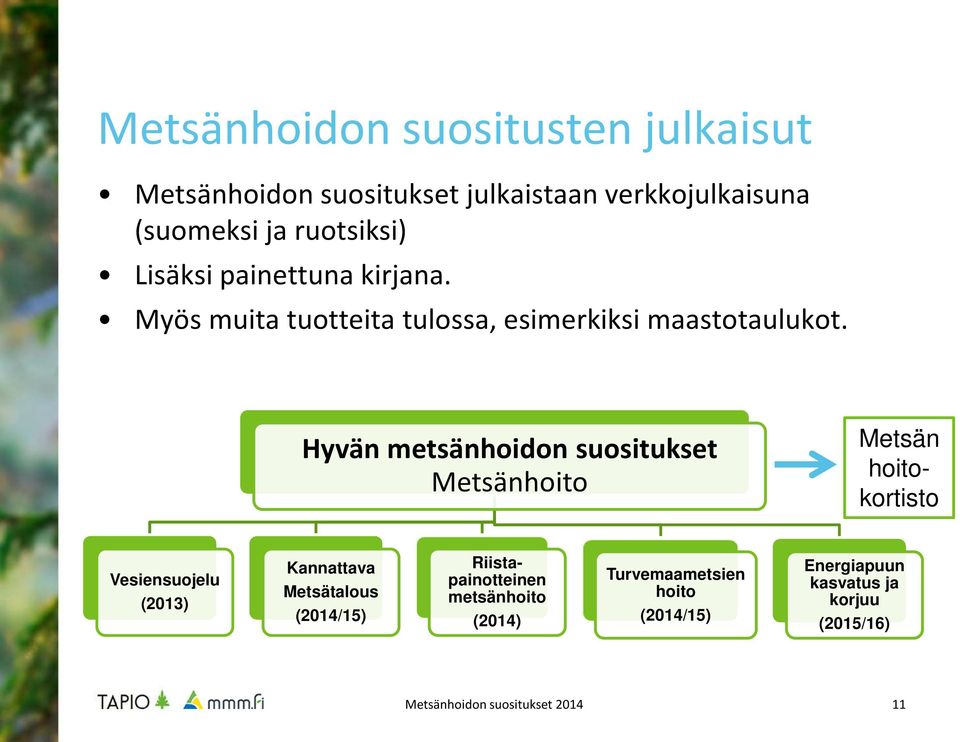 Hyvän metsänhoidon suositukset Metsänhoito Metsän hoitokortisto Vesiensuojelu (2013) Kannattava Metsätalous