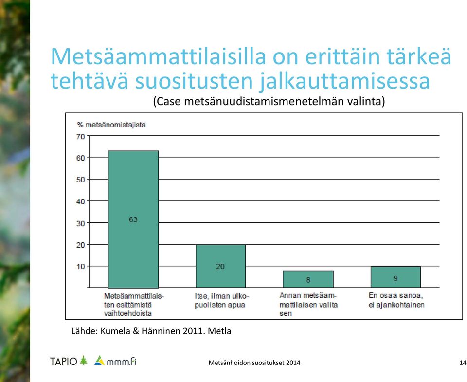 (Case metsänuudistamismenetelmän